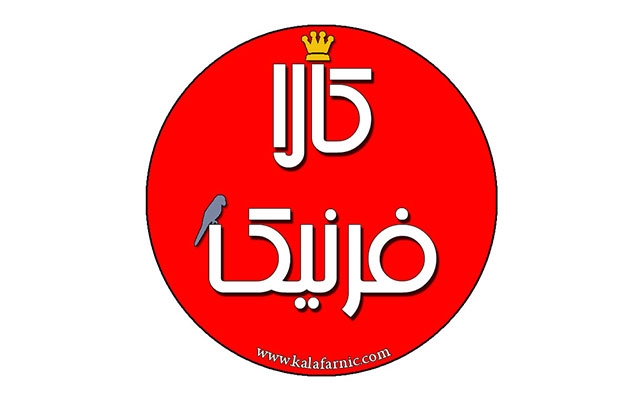 طراحی لوگو گرافیکی شما را انجام دهم