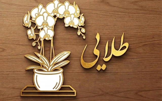 لوگوی اختصاصی شما رو طراحی کنم