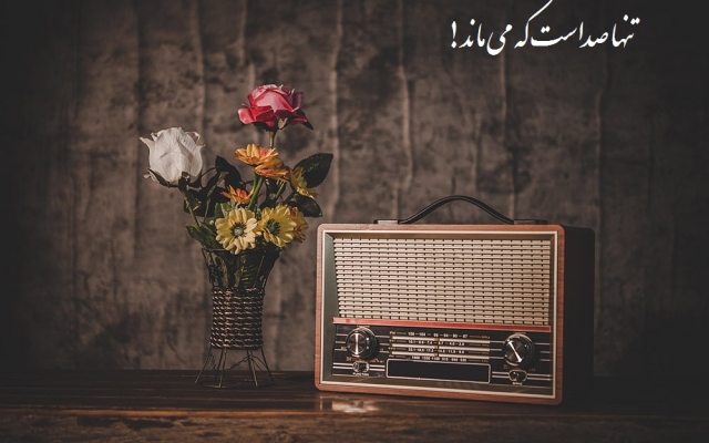 کلیه کارهای امور صدا و گویندگی و نریشن و...انجام بدهم