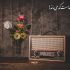 کلیه کارهای امور صدا و گویندگی و نریشن و...انجام بدهم
