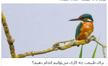 وب‌سایت-شبکه‌های-اجتماعی-بهینه