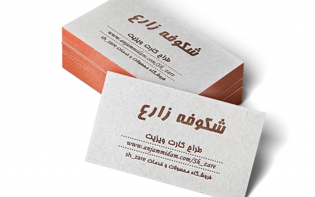 کارت ویزیت حرفه ای و شیک برای کسب و کار شما طراحی کنم.