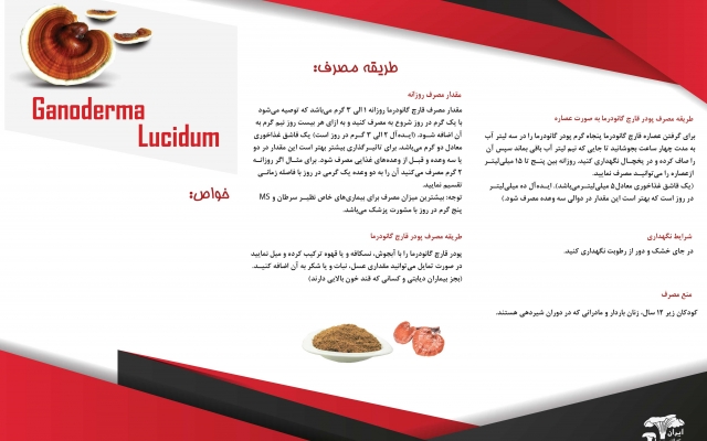 کاتالوگ، ست‌اداری و بروشور طراحی کنم