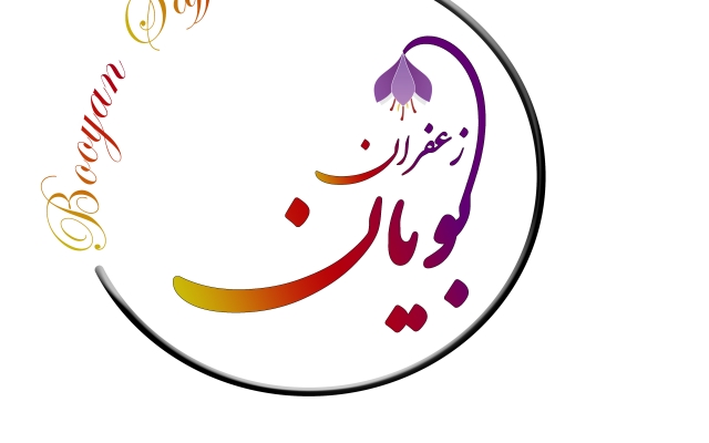 طراحی لوگو با کیفیت بالا برای شما انجام بدم.