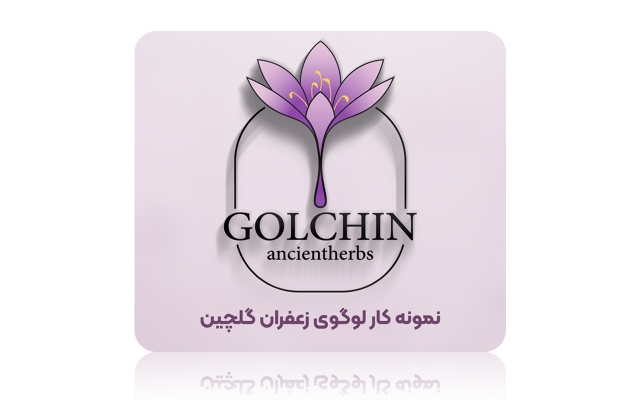 یک لوگوی به صرفه و شیک براتون طراحی کنم