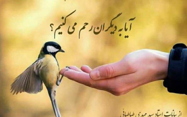 روی یک فیلم انواع تعقیرات مثل صداگزاری بدم ساخت کیلپ و با عکس فیلم زیبا بسازم