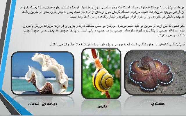 پاورپوینت مورد نظرتان را طراحی کنم.