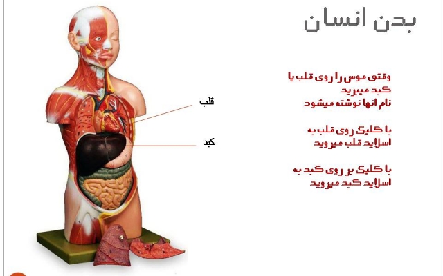 برای ارائه شما پاورپوینت طراحی کنم(با لینکهای گرافیکی و امکان کلیک اجزای تصاویر)