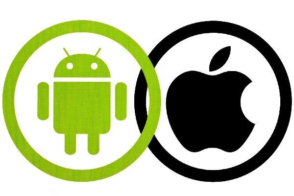 اپلیکیشن های اندروید و ios و وب اپلیکشن رو با فلاتر یا ریکت برنامه نویسی کنم