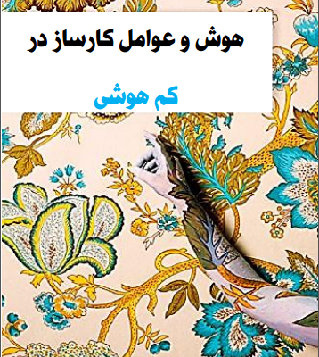 برای شما در حیطه های تخصصی و عمومی مورد نظر شما برای شما کتاب بنویسم