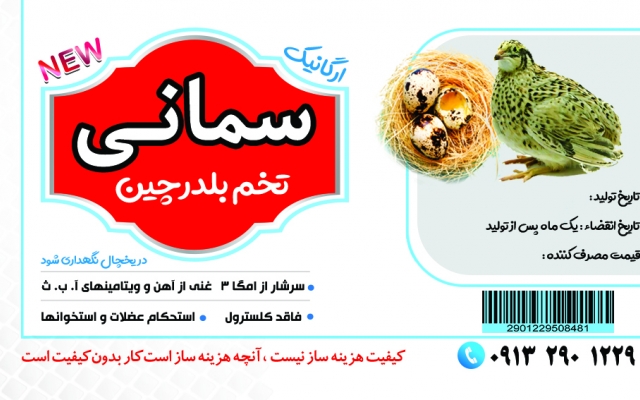 کارت ویزیت و کاتالوگ کاری براتون طراحی کنم