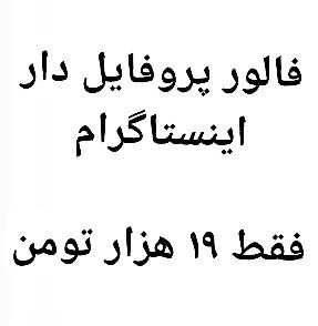 فالور اینستاگرام پروفایل دار و بدون ریزش با امکان افزودن به پیج های خصوصی اضافه
