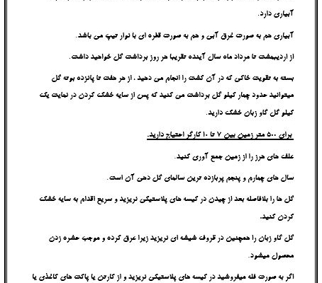 یک صفحه تایپ کنم