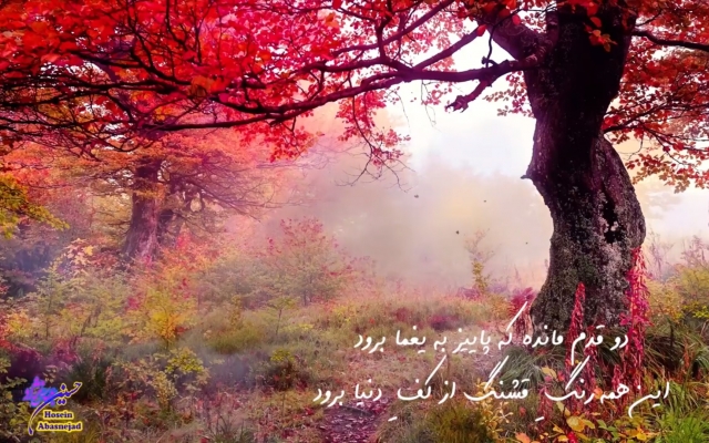 کارهای گویندگی و دوبله رو درهرزمینه باشه انجام بدم