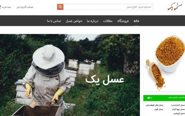 یک وب سایت شیک فروشگاهی، شرکتی، شخصی یا آموزشی با وردپرس طراحی و آماده بکنم.