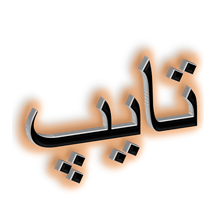 کلیه کارهای تایپی را انجام دهم