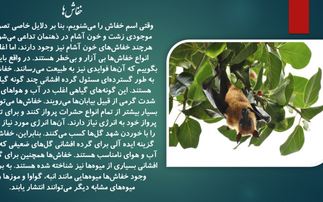 انواع پاورپوینت های درسی رو با کیفیت بالا و انیمیشن های نمایشی درست کنم