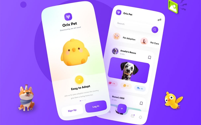 تخصصی اپلیکیشن و سایت طراحی کنم