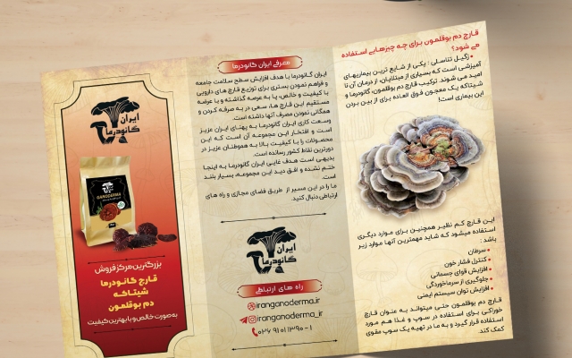 بروشور ، کاتالوگ ، تراکت طراحی کنم