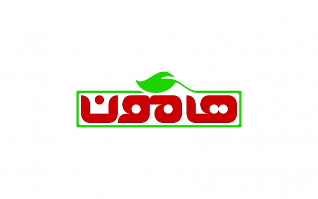 لوگو و لوگوتایپ طراحی کنم!