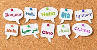 متون تخصصی و عمومی را در موضوعات مختلف به صورت روان و با هزینه مناسب ترجمه کنم