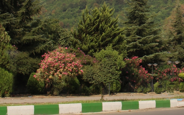 اشیاء و افراد اضافی رو از عکس های شما کاملا پاک کنم