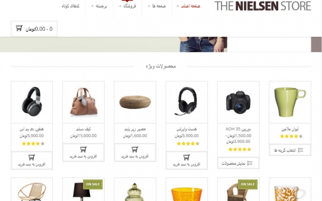 برای شما یک قالب سایت راه اندازی کنم و پشتیبان سایت شما باشم