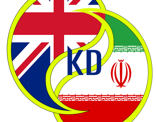 متون روانشناسی رو ب انگلیسی،فارسی و ترکیه ای ترجمه کنم.
