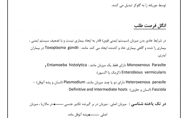 تایپ جزوه ها و مطالب شمارو به سرعت و بدون غلط انجام بدم