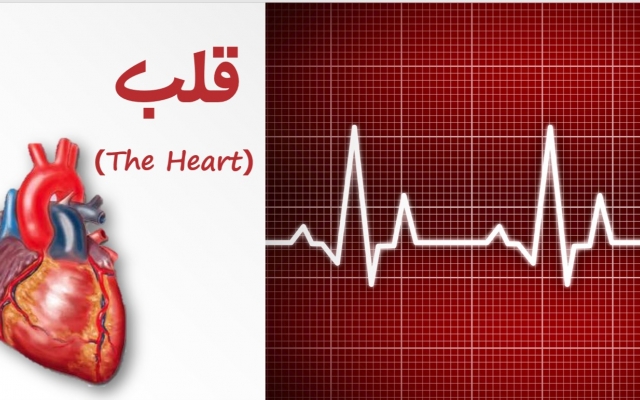 پاورپوینت در هر موضوعی برای ارائه و کارای دیگر درست کنم