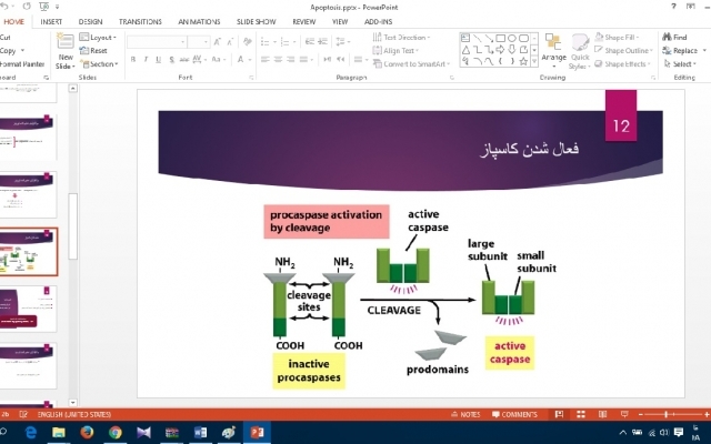 متون و تصاویر شما عزیزان رو در قالب پاورپوینت به زیبایی ارائه کنم و متون شما رو