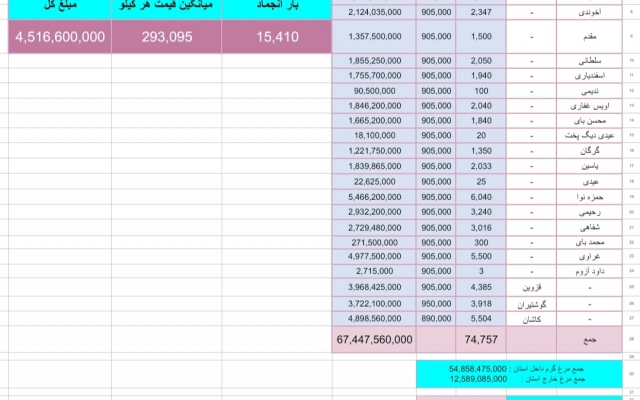 اطلاعات شما را با دقت در فایل اکسل وارد و دسته‌بندی کنم