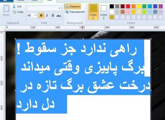 تایپ متون و مطالب فارسی شما رو انجام بدم
