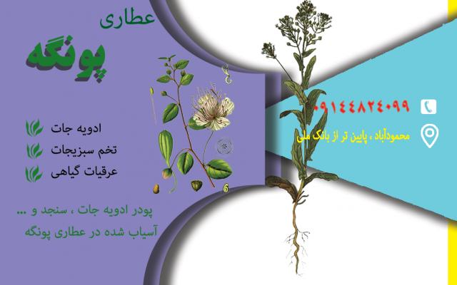 طراحی کارت ویزیت ، طراحی تراکت ، طراحی کاتولوگ و طراحی ست اداری رو انجام بدم.