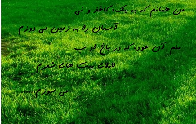 شعر،متن های احساسی،داستان و متن کوتاه به سلیقه ی شما بنویسم.
