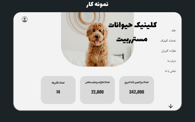 یک وبسایت زیبا با طراحی خلاقانه مطابق با نیاز شما، سازگار با موبایل طراحی کنم.