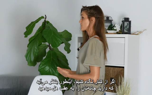 کلیپ ها و فیلم های انگلیسی زبان رو به فارسی روان ترجمه و زیرنویس کنم