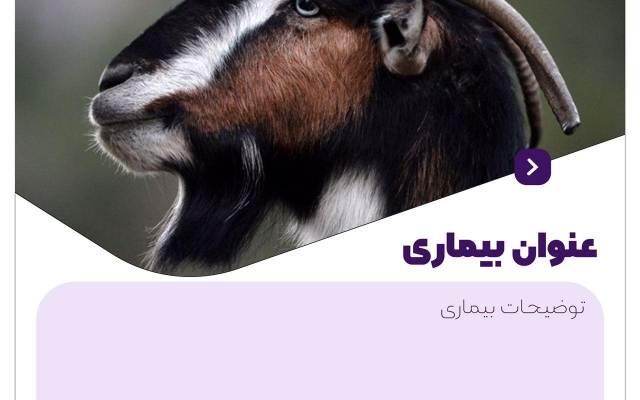 طراحی گرافیکی پیج اینستاگرام شمارو به عهده بگیرم