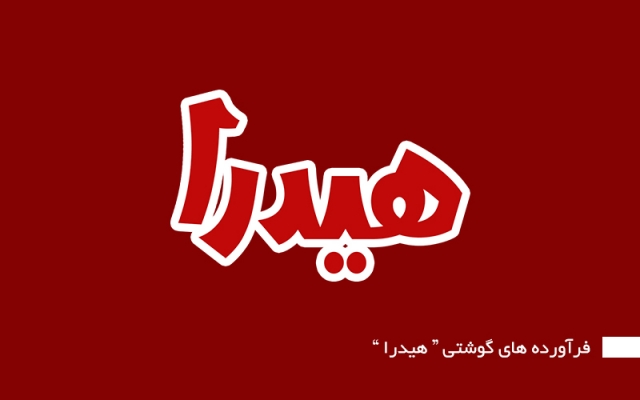 لوگو استاندارد و انحصاری برای شما طراحی کنم