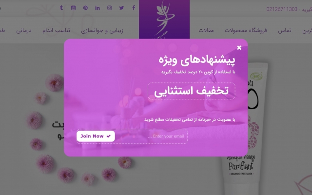 طراحی وب سایت با وردپرس انجام بدم