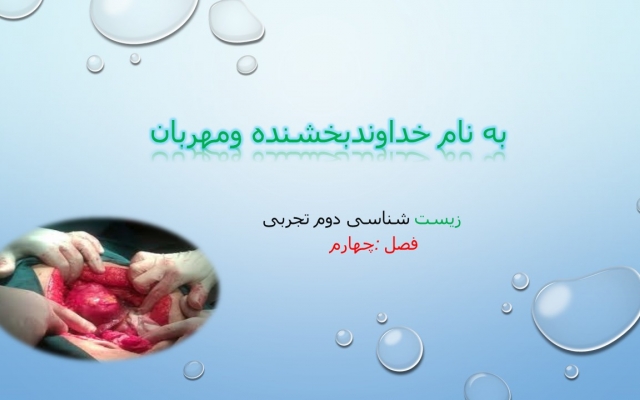 پاور پوینت ساده و شیک برای شما اماده کنم