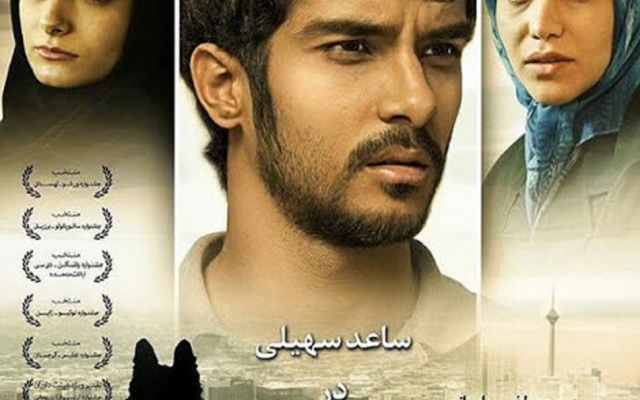 (فیلم،انیمیشن،تیزر،کتاب صوتی و...) ضبط،صداگذاری،میکس و ادیت کنم.