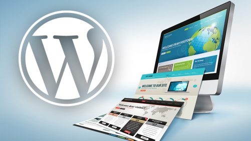 سایت رزومه ایی ، سایت ارائه مقاله و سایت موزیک و فیلم و فروشگاهی طراحی کنم