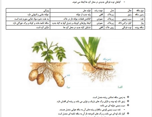 تایپ فارسی وفرمول انجام دهم