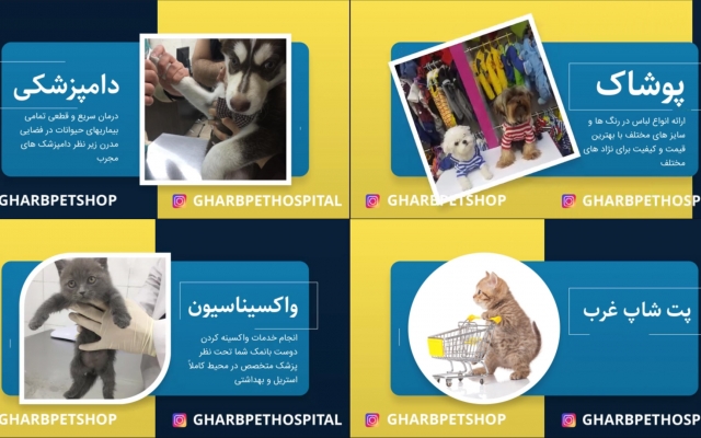 با تکنیک موشن گرافیک برای کسب و کار شما تیزر درست کنم. از صفر تا صد!