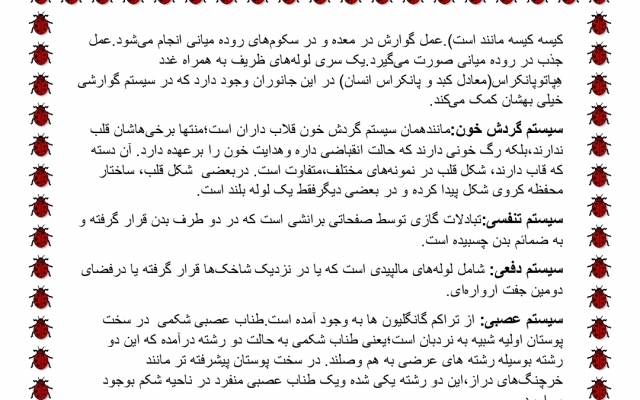 متون فارسی و انگلیسی رو برای شما تایپ کنم