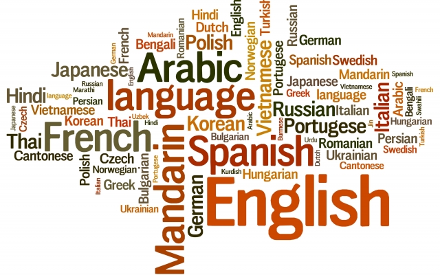 تایپ سریع متون pdf،کتاب، در زبان های فارسی و لاتین انجام بدم.