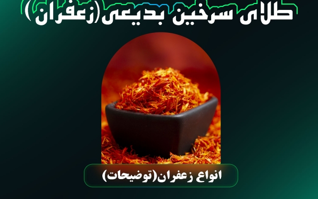 تمامی خدمات اینستاگرام رو انجام بدم(ویرایش ویدیو پست و استوری و ..)