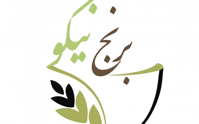 لوگوی استاندارد و با کیفیت  براتون طراحی کنم (تحویل دو نمونه کار)