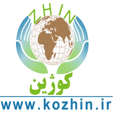 لوگوهایی زیبا برای شما با استفاده از نرم افزار ایلوستریتور طراحی کنم.